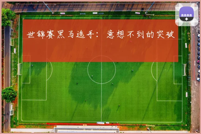 世锦赛黑马选手:意想不到的突破