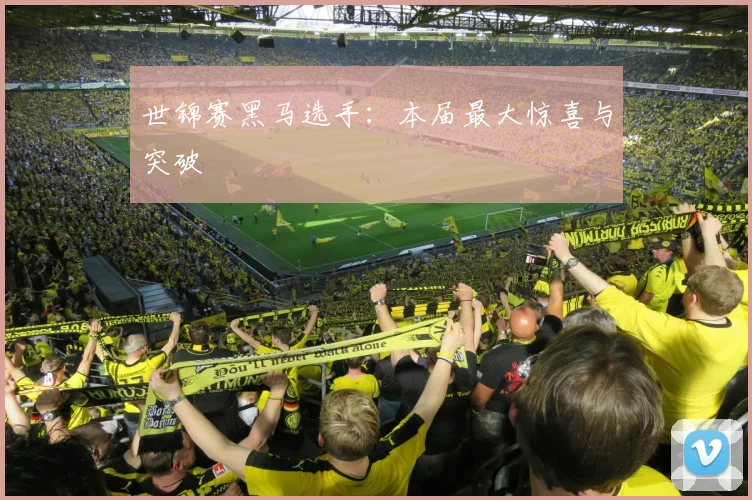 世锦赛黑马选手:本届最大惊喜与突破